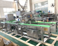 Ligne de production de bonbons gommeux Starch Mogul Line Gummy Machine