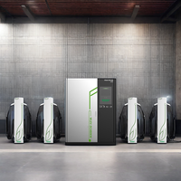 Cargador de CC para Vehículos Eléctricos Personalizable con Cable de Carga de 5 Metros y Conector Multistándar
