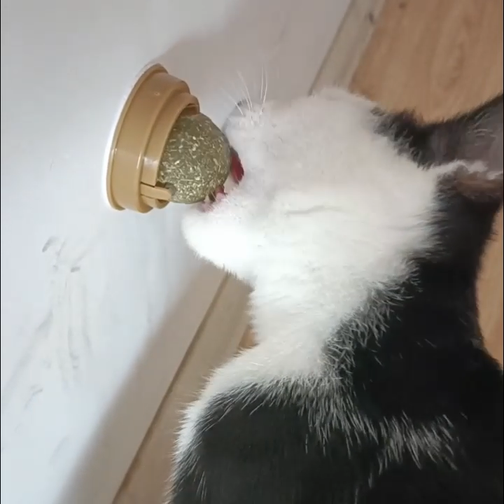 Top Sell Cat Toy Amusing Licking Fun Catnip Rotating Ball Cat Grinds