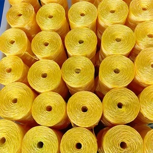 China Factory UV Resistant Polypropylene PP Baler Twine With Agriculture Garden Twine For Square Blow Molding Agricultural