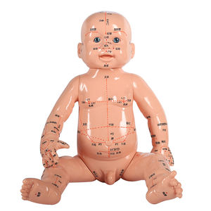 Acupunctuurpuntmodel voor baby's met Engelse en Chinese identificatie en moxibustie-simulatie - Product Image 2