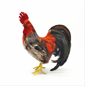 Productos Populares, Aves de Plumas Artificiales, Gallina de Tamaño Real, Adornos Coloridos para Jardín y Granja, Gallo para Decoración - Product Image 2