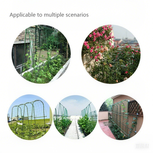 Oferta Especial: Estructura de Acero Galvanizado Reforzado Ecológico Negro y Verde para Invernadero Agrícola - Product Image 2