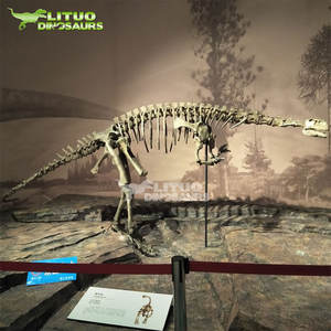 <span class=keywords><strong>Esqueleto</strong></span> <span class=keywords><strong>de</strong></span> <span class=keywords><strong>Velociraptor</strong></span> a Tamaño Real con Calidad <span class=keywords><strong>de</strong></span> Museo, Fósil <span class=keywords><strong>de</strong></span> Resina para Interiores, Centros Comerciales, Aeropuertos, Guarderías y Jardines <span class=keywords><strong>de</strong></span> Infancia - Product Image 6