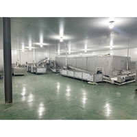 Hoge kwaliteit tunnelvriezer, CE-gekeurd, automatische snelvriesmachine voor fruit, groenten en vlees
