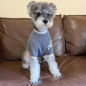 Suéter Tejido para Mascotas Estilo Preppy, Ropa Cálida de Invierno para Perros, Azul Marino y Gris, 2 Colores - Product Image 3