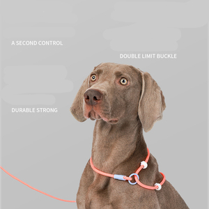 Kingtale tali pengendali utama <span class=keywords><strong>Slip</strong></span>, untuk anjing tanpa tali tarik tali <span class=keywords><strong>Slip</strong></span> hewan peliharaan untuk anjing - Product Image 3