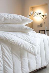 Set di Lenzuola Queen Size 4 Pezzi 100% Cotone Organico Moderno per Uso Domestico - Ultra Morbido e Rinfrescante, Antirughe e Resistente allo Sbiadimento, Tasche Profonde - Product Image 4