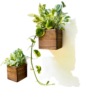 Fioriera da Parete Leggera in Legno, Vaso Quadrato Sospeso per Piante Grasse, Pothos e Piante Rampicanti, Vaso Rustico per Interni - Product Image 1