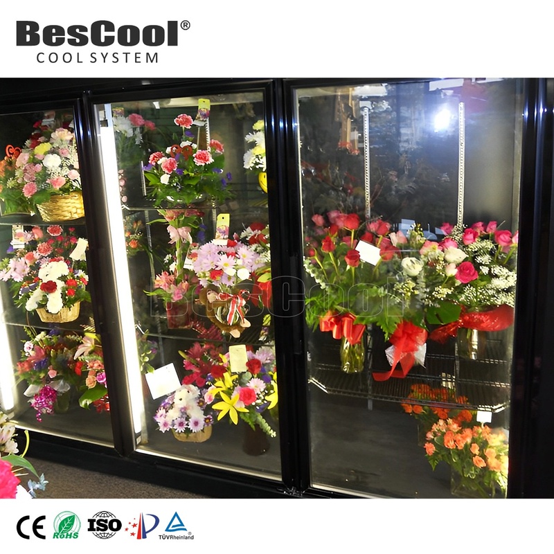 Display Walk in Cooler 100mm Cold