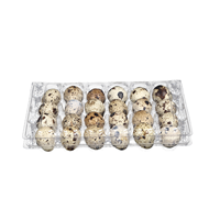 CHUAN HE 12 Cellules PVC Caille Oeuf Plateau 12 Trous PET Blister Processus Cartons D'oeufs pour Sushi Fruits Riz Maïs Alimentation Emballage Alimentaire