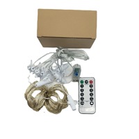 3*3M LED Warmweiß Fernbedienung Kupferdraht Fee Vorhang Lichterkette Indoor Holiday Weihnachts baum Fenster dekoration