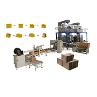 Ligne de machines d'emballage automatique de cartons, emballage de petites pochettes dans des boîtes en carton