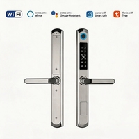 Serrure intelligente coulissante TTlock Tuya pour extérieur, serrure de sécurité pour hôtel, serrures intelligentes pour portes extérieures