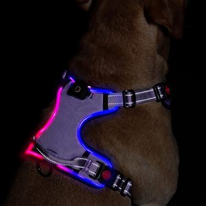 Arnés para mascotas con luz LED, resistente al agua, recargable, personalizado, <span class=keywords><strong>seguridad</strong></span> nocturna, reflectante, intermitente, arnés para perros - Product Image 3