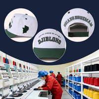 Casquette de baseball OEM 100 % coton personnalisée avec logo brodé en 3D, style sportif, 5 panneaux, visière incurvée, bicolore, fermeture snapback