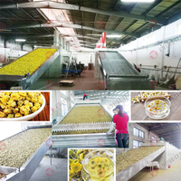 Machine de traitement des chips de konjac et de manioc séchés Shouchuang OEM avec contrôle PLC, sécheuse de légumes konjac, porang et manioc
