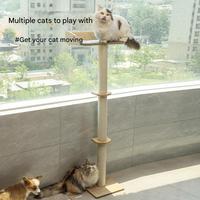 Griffoir mural pour chat avec plateforme large, pilier en corde de sisal, base stable, arbre à chat peu encombrant