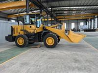 Chargeuse sur pneus durable de 16 tonnes et 220 CV, directement de l'usine, avec godet de 3,6 m³ pour la manutention de matériaux en vrac dans les cimenteries, chargeuse sur pneus