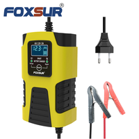 Chargeur de batterie de voiture universel FOXSUR à impulsions 6V 12V 2A, chargeur automatique pour batteries au plomb de moto et de voiture jouet