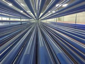 ปลอกหมูธรรมชาติ, ปลอกไส้กรอก, ปลอกหมู - Product Image 6