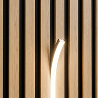 Bande LED en silicone noir intégral IP66 3000K sur mesure, 24V, contrôlée par Wi-Fi, CRI 90 élevé, installation encastrée, pour lattes de bois acoustiques