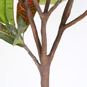 Ficus-planta en maceta, variegatum, árbol de croton, plantas ornamentales artificiales - Product Image 6