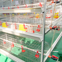 Nouvelle Conception de Petite Cage à Poulets pour l'Élevage et l'Éclosion des Poussins avec Acier Inoxydable Q235 et Conception Agricole Gratuite