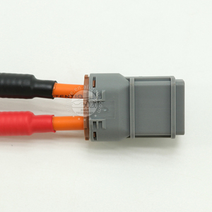 맞춤형 새로운 에너지 고전류 2P 여성 7123-4220-40 커넥터 골판지 파이프와 배선 하네스 - Product Image 3