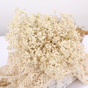 Vĩnh Cửu Gypsophila hoa khô bó hoa đường phố gian hàng tự làm vật liệu cho ngày của mẹ và quà tặng phục sinh bán buôn - Product Image 4