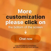 Scelleuse alimentaire sous vide automatique en acier inoxydable avec écran tactile pour usage domestique