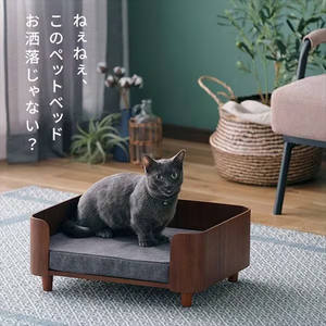 Probe verfügbar Mode Massivholz Haustier möbel Erhöhtes Hunde bett Haus Katze Haustier Couch Sofa - Product Image 3