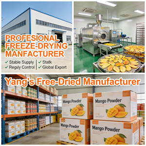 Gefreeze-droogde mangopoeder 100% puur natuurlijk wateroplosbaar fruitpoeder, voedingskwaliteit voor dranken, bakken, voedseladditief, fabriek - Product Image 6