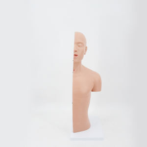 Modèle de tonométrie pour la cavitation nasale et le bras, sex toy, santé naturelle, modèle Torso, cavités du ventre, modèle d'anatomie, équipement éducatif - Product Image 3