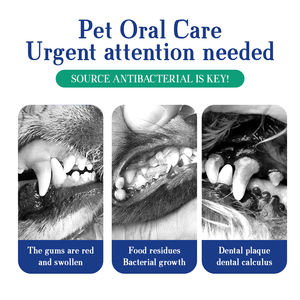 <span class=keywords><strong>El</strong></span> polvo personalizado para Limpieza de dientes de mascotas ayuda a limpiar la pigmentación de la superficie de los dientes de los perros y ayuda a mantener la higiene bucal - Product Image 3