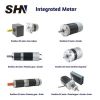 Moteur BLDC sans balais 42mm Nema17 à bride, forme ronde, 24V 48V 55W 4000 tr/min, aimant permanent