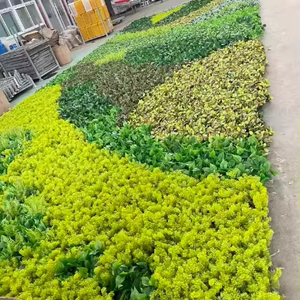 Paneles de Césped Artificial para Paredes, Setos de Plástico para Decoración de Bodas, Hogar, Jardín y <span class=keywords><strong>Patio</strong></span> - Product Image 2