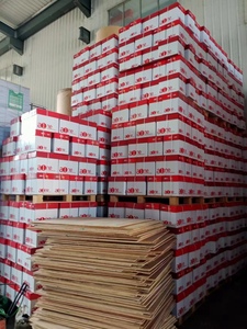 工厂价格供应多用途双A4复印80 Gsm/白色A4复印纸70g & 80g纸选项 - Product Image 4