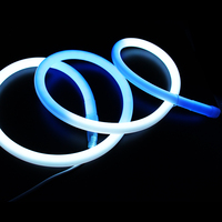 Production de fabrication de lampes au néon personnalisées Lumière extérieure à led de type rond D18mm 24V WS2811 SPI adressable RGBIC Led Strip Lights