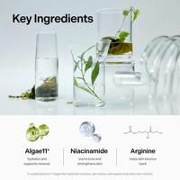 Suero Facial Hidratante Profundo Antienvejecimiento OEM/ODM con Niacinamida y Arginina, Vegano, Sin Fragancia, 50 ml, Cuidado Facial y Corporal