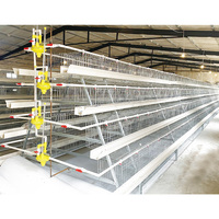 Nouvelle cage longue en acier galvanisé à 4 niveaux pour l'élevage de poules pondeuses, capacité 120, 128, 160 oiseaux