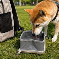 Bol de voyage pour chien et chat, écologique, élégant, solide, portable, pliable, léger (80g), anti-fuite, avec boucle de suspension