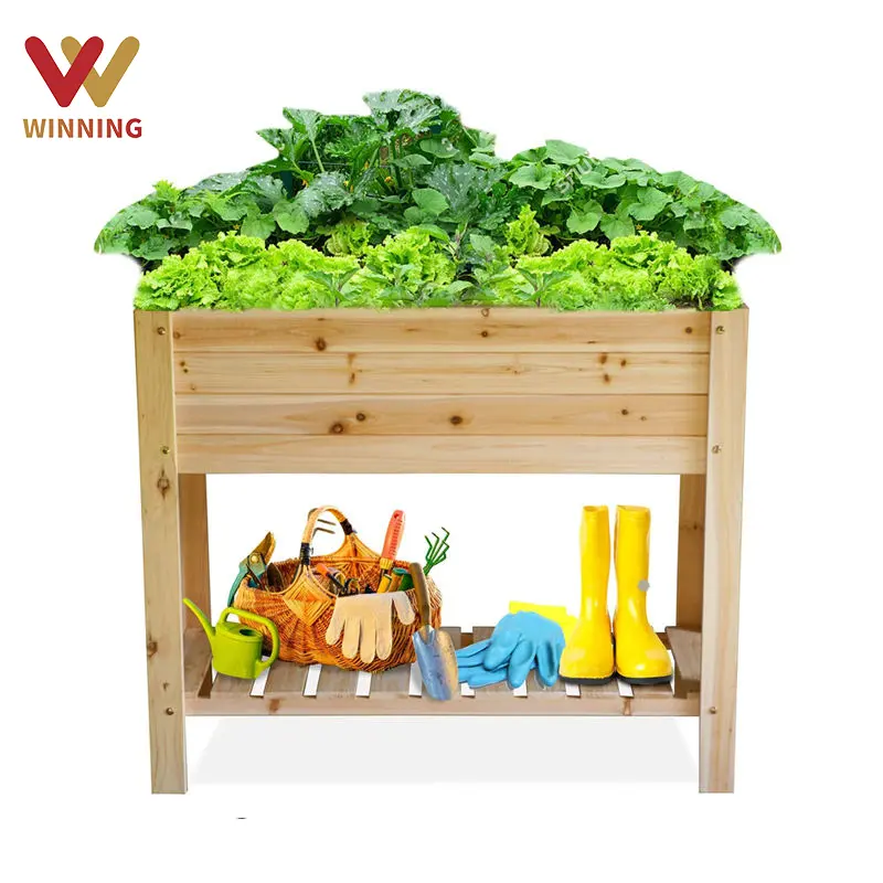 Winning Wooden Raised Garden Bed Outdoor Wooden Elevated Planters Raised Beds Wood Planter Box for Backyard