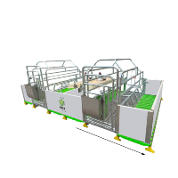 Nouvelle cage de mise bas de type H pour l'élevage de gestation et de maternité des porcs, acier Q235, longue durée de vie