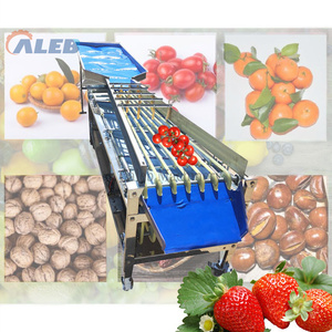Machine de tri de fruits et légumes à haut rendement, idéale pour la transformation des produits agricoles - Offre spéciale - Product Image 1