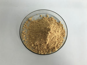 Fábrica preço competitivo 10% kaempferol pó kaempferol - Product Image 2