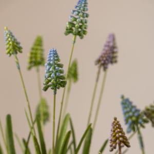 ก้านพลาสติก muscari เทียมทำด้วยมือดอกไม้ผักตบชวาองุ่นสังเคราะห์เป็นมิตรกับสิ่งแวดล้อมสำหรับฤดูใบไม้ผลิอีสเตอร์งานแต่งงานที่บ้าน - Product Image 5