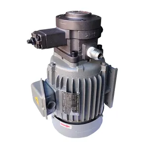 2.2kw motor VP-40 series vane pump is installed with four holes to form a set of high-pressure hydraulic pump group