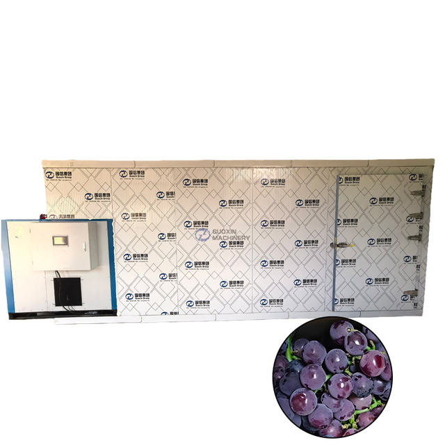 Customizable Heat Pump Fruits Drying Oven Grapes Dryer Machine Persimmon Drying Machine