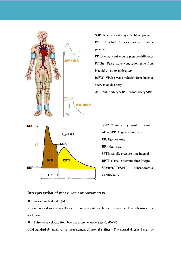 Importancia clínica del cribado temprano de la enfermedad cardiovascular Detector de arteriosclerosis de alta configuración